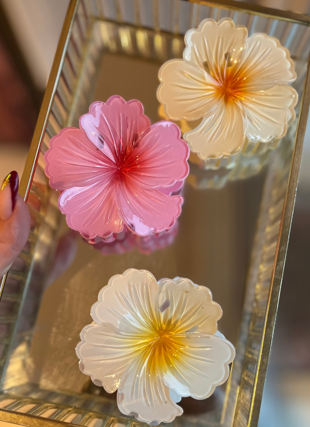 Pince fleurs d’hibiscus